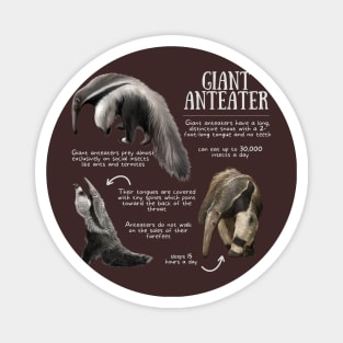 Animal Facts - Giant Anteater Magnet